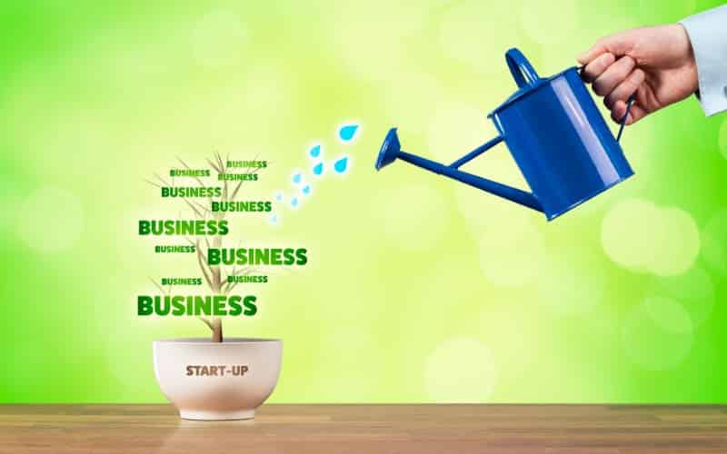 How To Start A Business With No Money What Steps To Follow